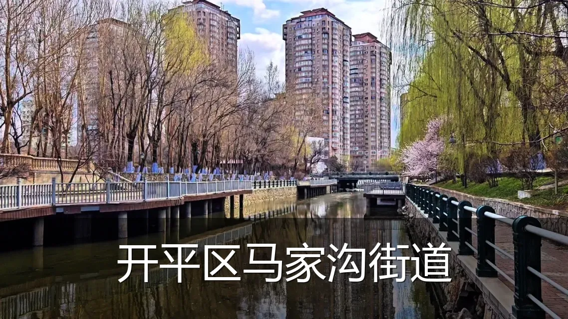 开平区马家沟街道